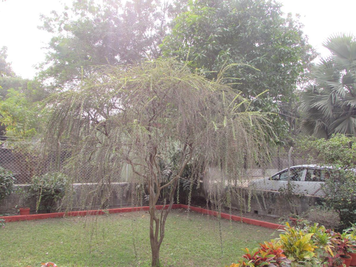 Aayesh Bed & Breakfast Shānti Niketan Exteriér fotografie